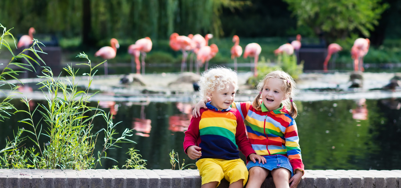 Sylvan Heights Bird Park